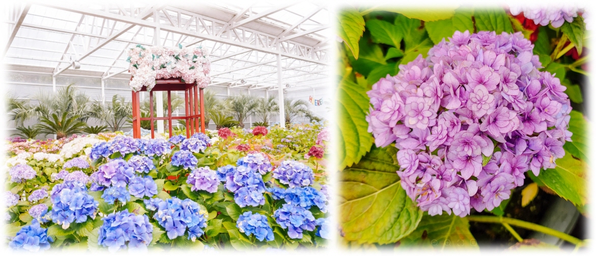 797d1a8937c1635887b30a62b5d068a9_1741227052_6201.jpg 797d1a8937c1635887b30a62b5d068a9_1741227052_6201.jpg