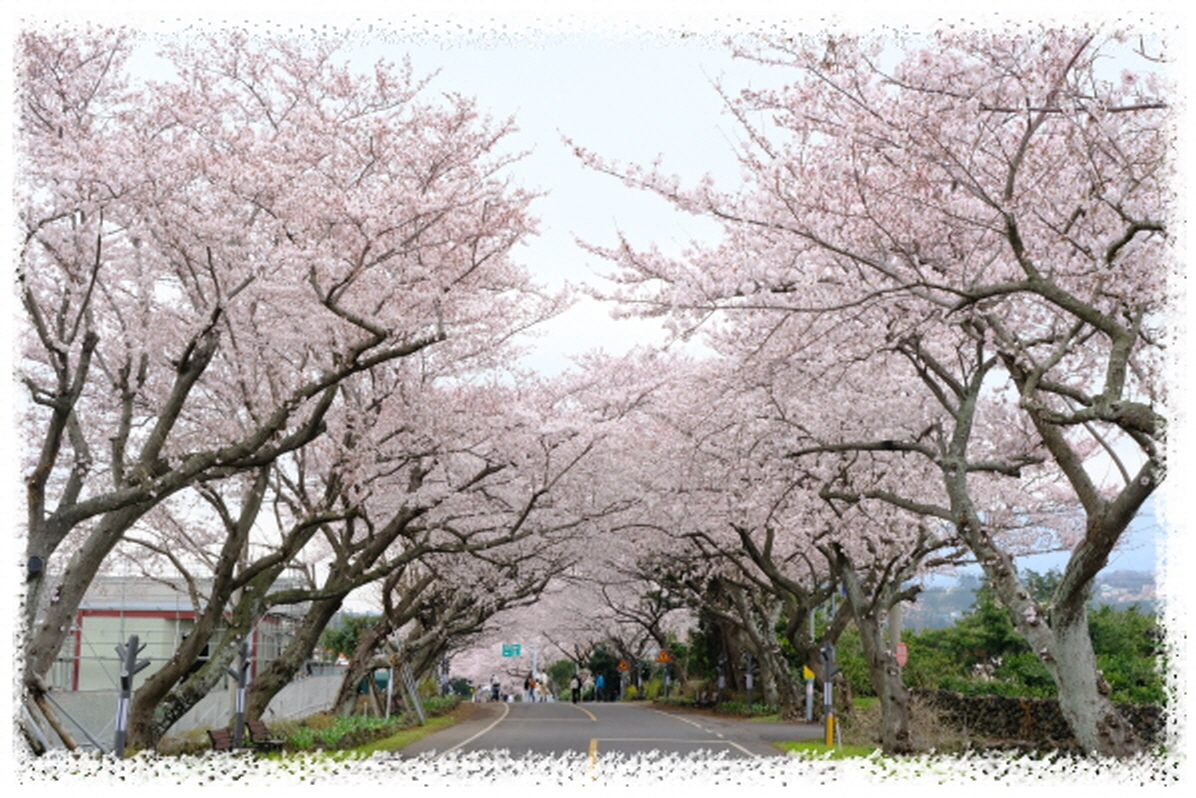 57dc7f238dac7710c57edef5d36dd0bb_1743990405_3213.jpg 57dc7f238dac7710c57edef5d36dd0bb_1743990405_3213.jpg