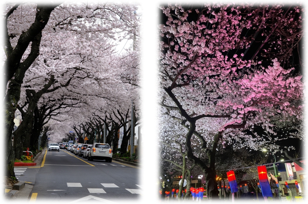 57dc7f238dac7710c57edef5d36dd0bb_1743990482_6145.jpg 57dc7f238dac7710c57edef5d36dd0bb_1743990482_6145.jpg