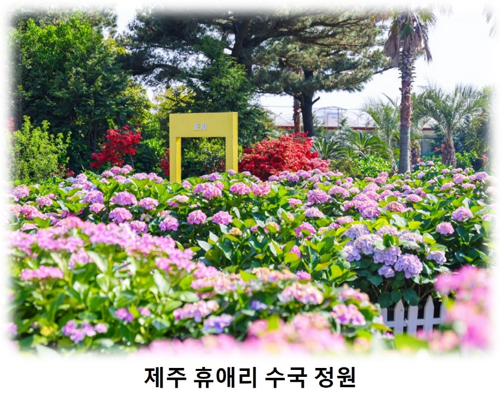 eb44101d4dfba0941ecb599a05c56816_1746766462_9129.jpg eb44101d4dfba0941ecb599a05c56816_1746766462_9129.jpg