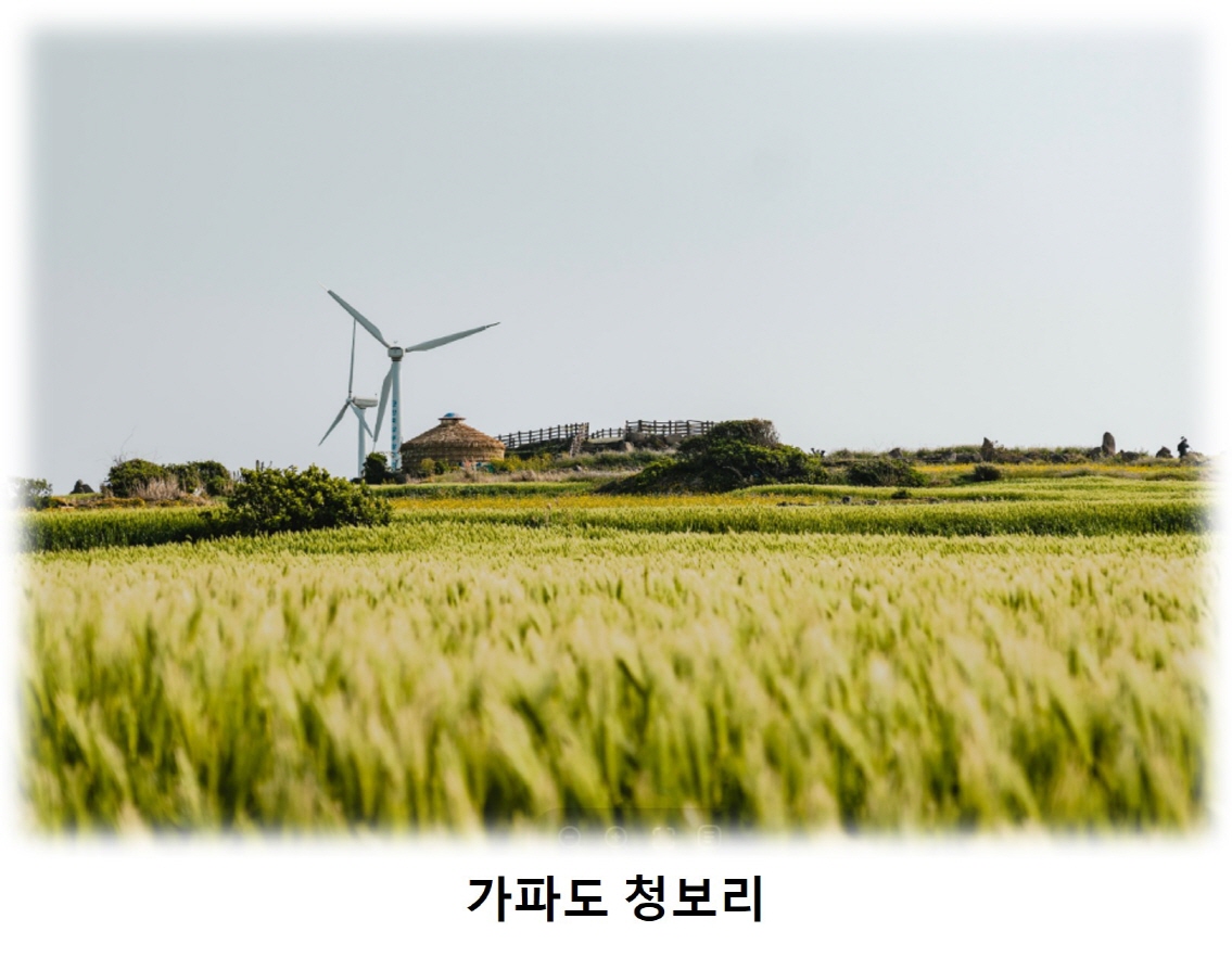 eb44101d4dfba0941ecb599a05c56816_1746766507_8247.jpg eb44101d4dfba0941ecb599a05c56816_1746766507_8247.jpg