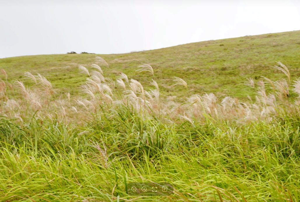 a781006d390b7e9dd702a77e0da3e76f_1760342847_3878.jpg a781006d390b7e9dd702a77e0da3e76f_1760342847_3878.jpg