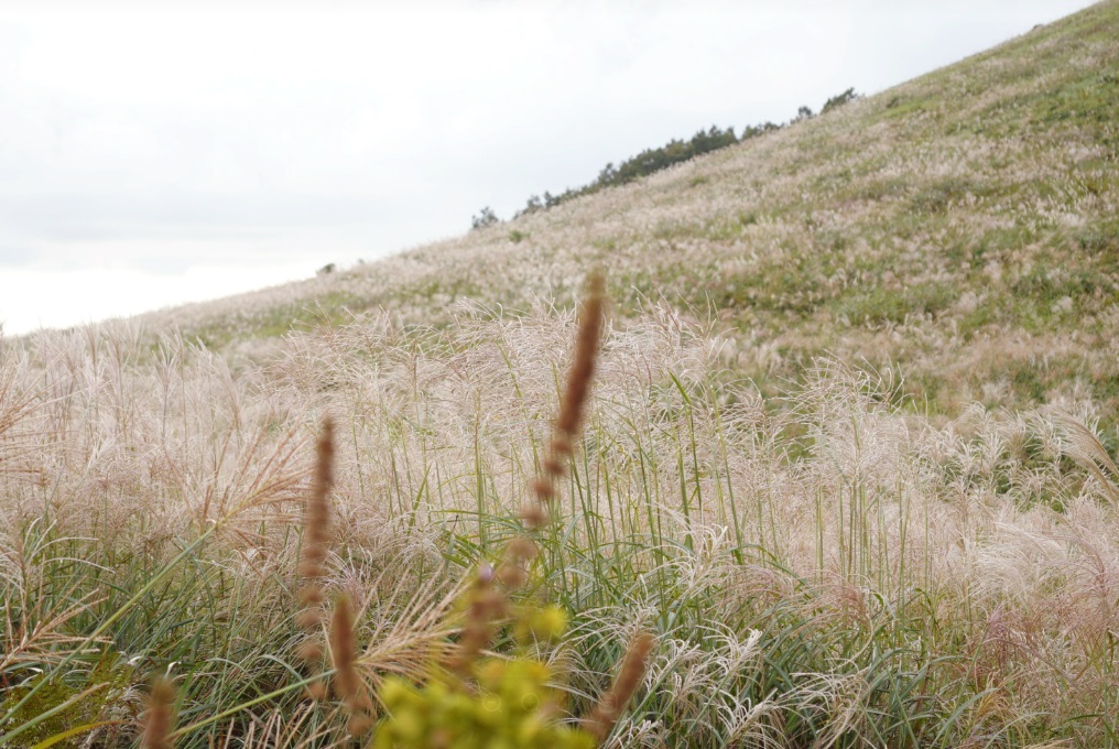 a781006d390b7e9dd702a77e0da3e76f_1760342867_282.jpg a781006d390b7e9dd702a77e0da3e76f_1760342867_282.jpg